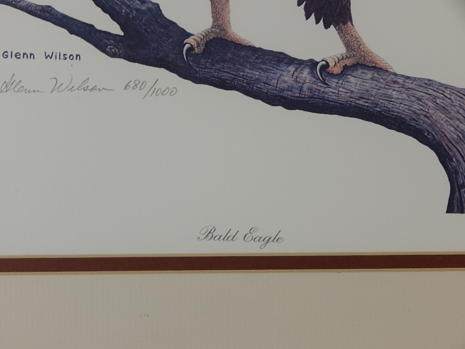 Signed L/E Glenn Wilson 'Bald Eagle' Framed Print