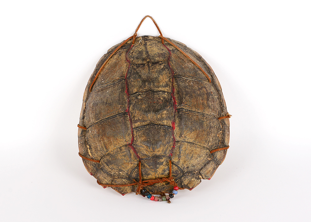 Decorated Fresh Water Turtle Shell