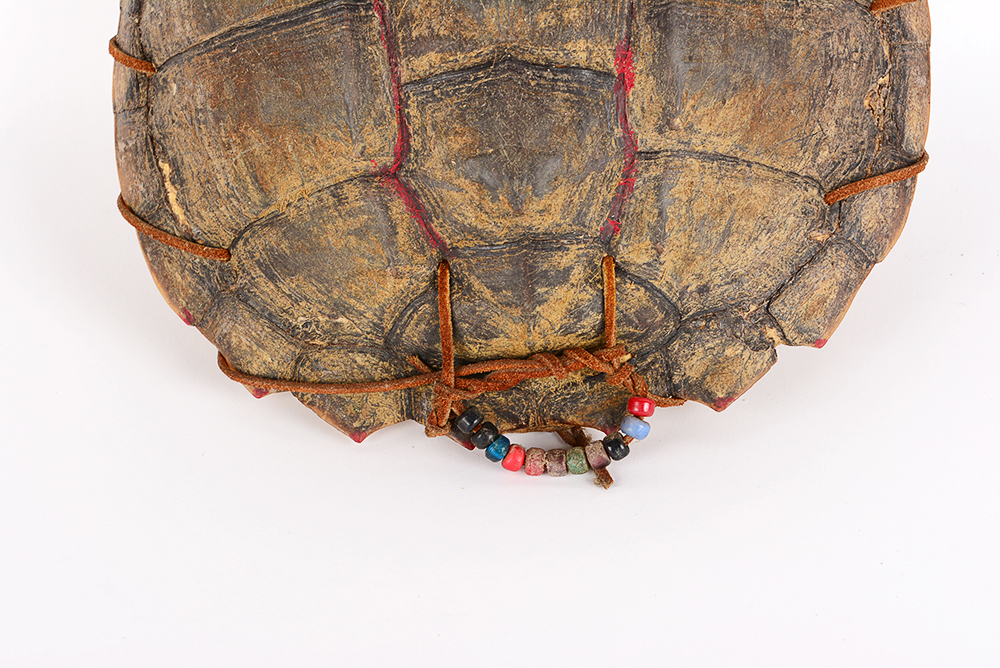 Decorated Fresh Water Turtle Shell