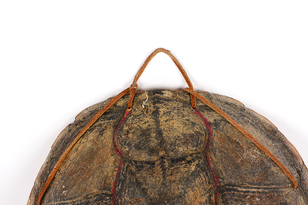 Decorated Fresh Water Turtle Shell