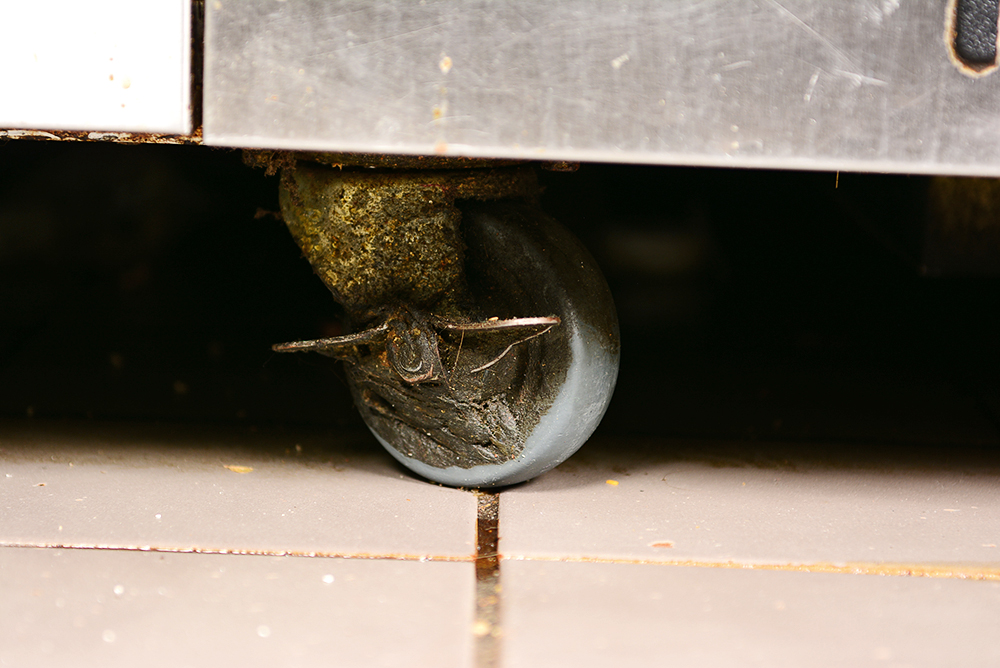 True Commercial Four-Drawer Refrigerated Chef Base