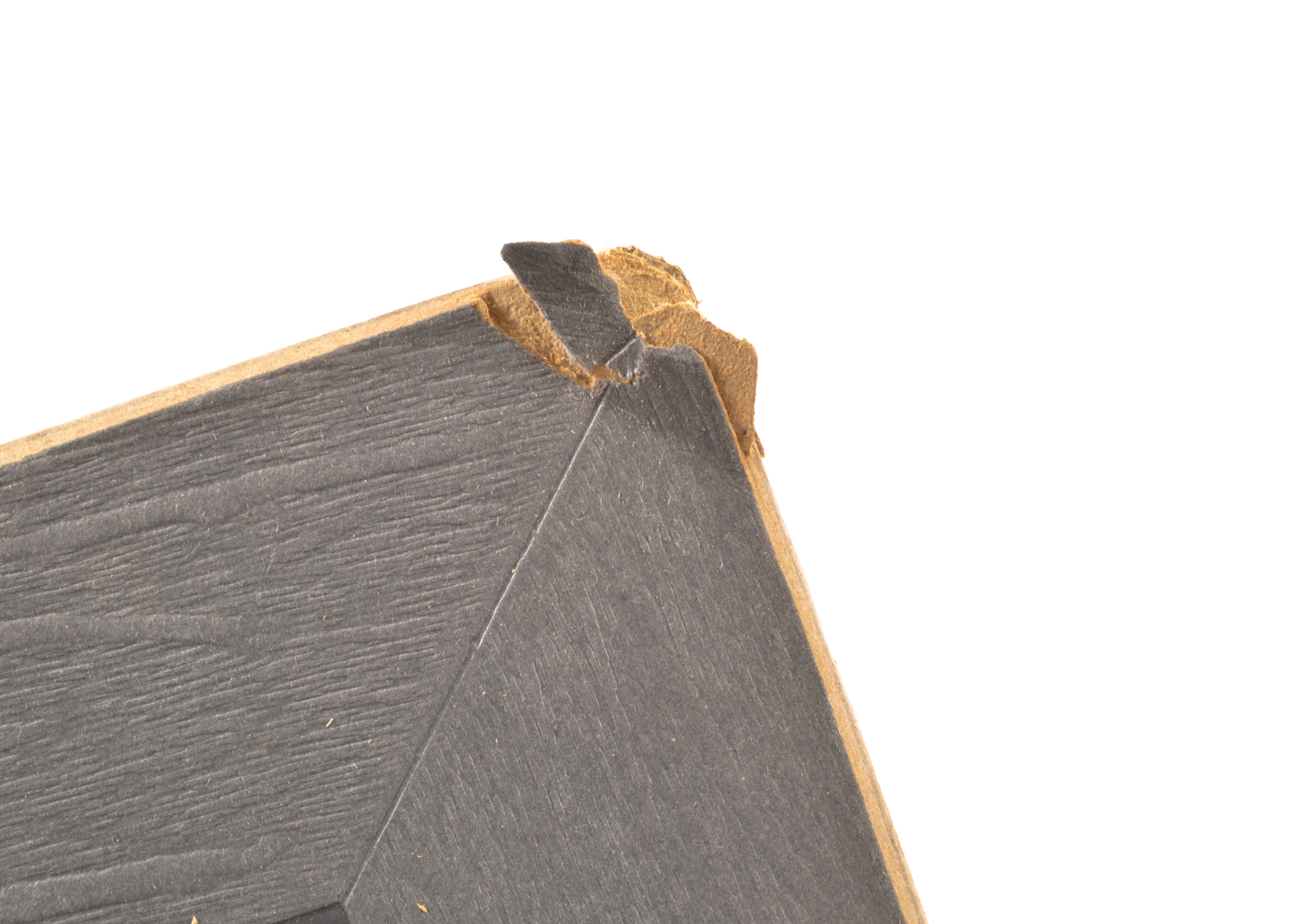 Two Vintage Photographs of Basketball Teams featuring Harvard