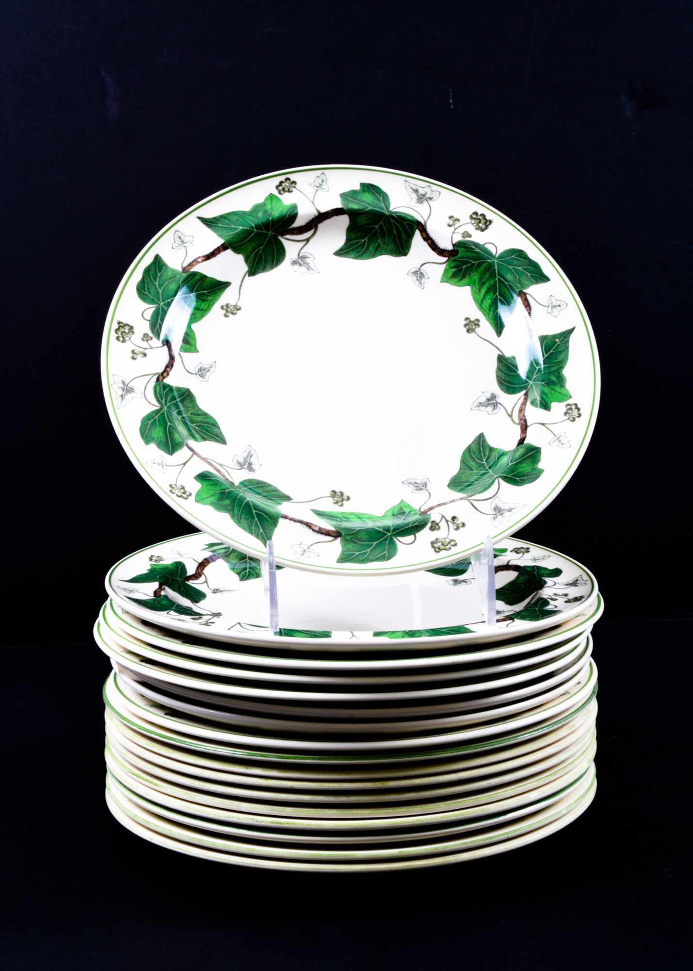 Ivy Patterned Dishes Including Wedgwood and Franciscan