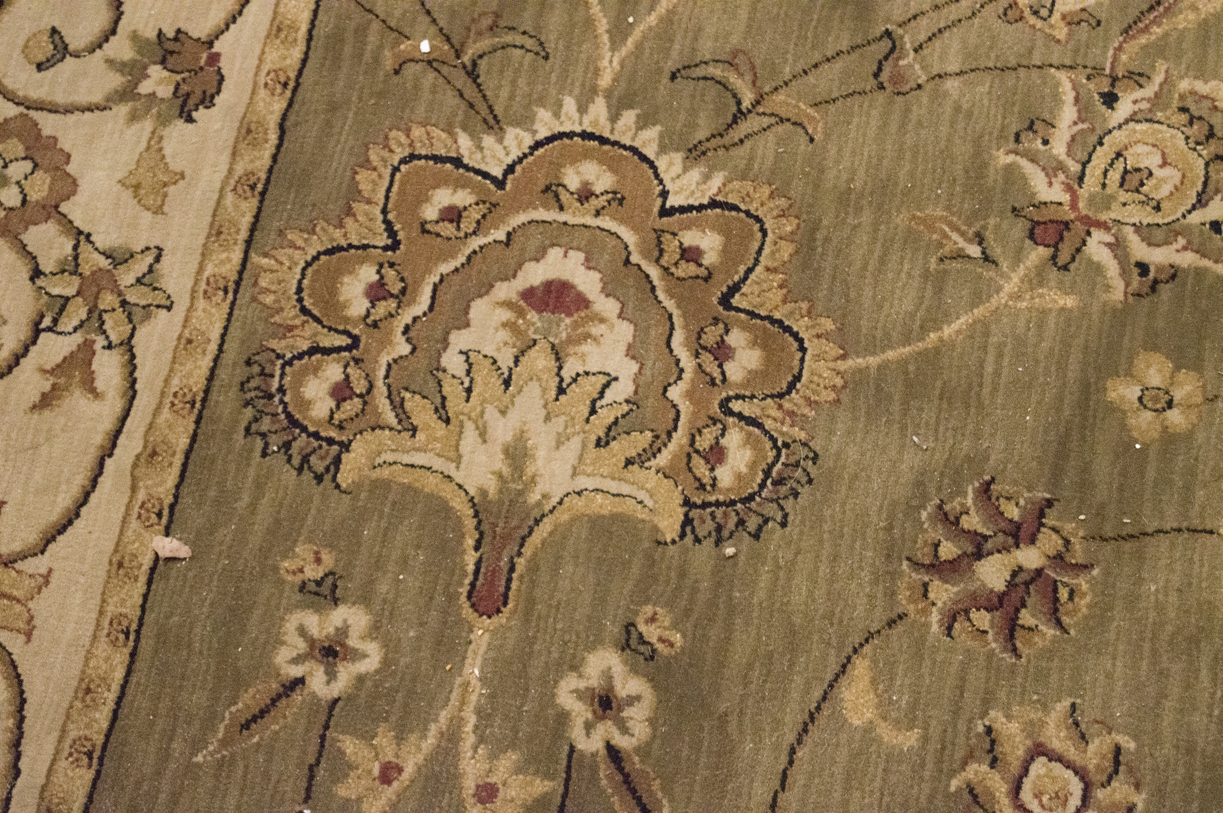 Dalyn Floral Area Rug