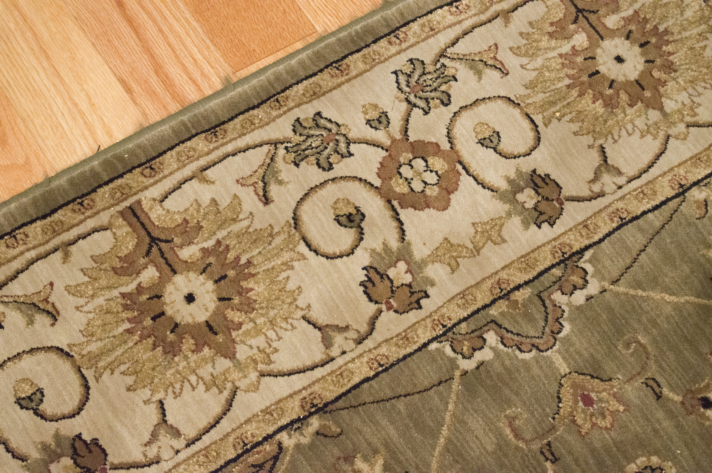 Dalyn Floral Area Rug