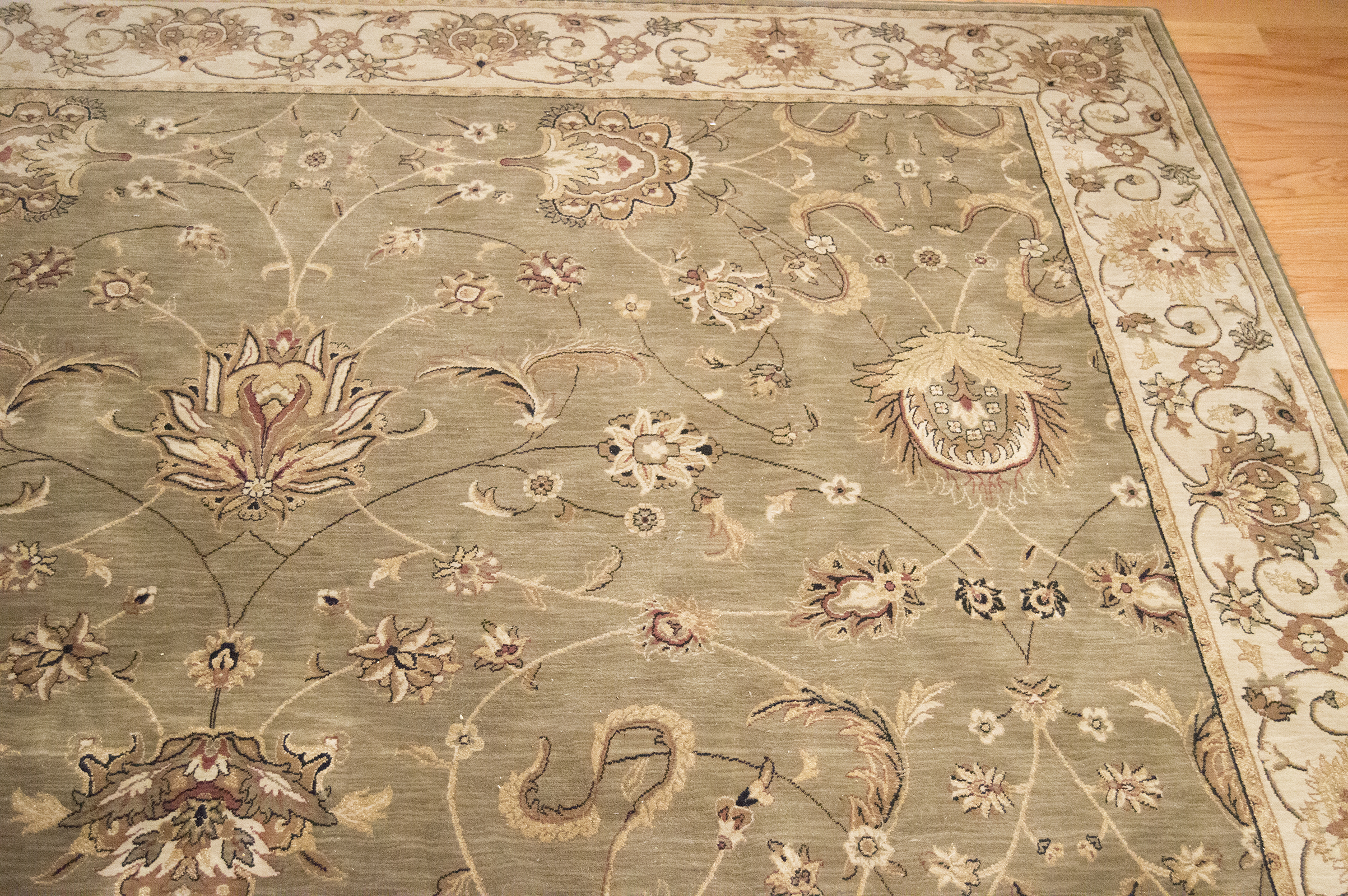 Dalyn Floral Area Rug