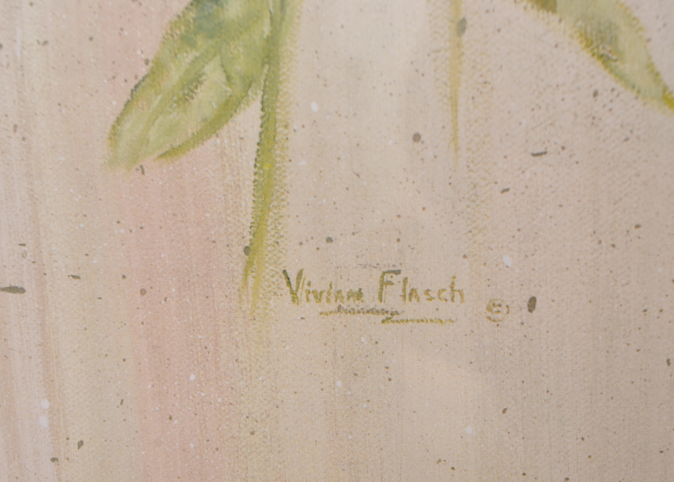 Pair of Offset Lithographs by Vivian Flasch