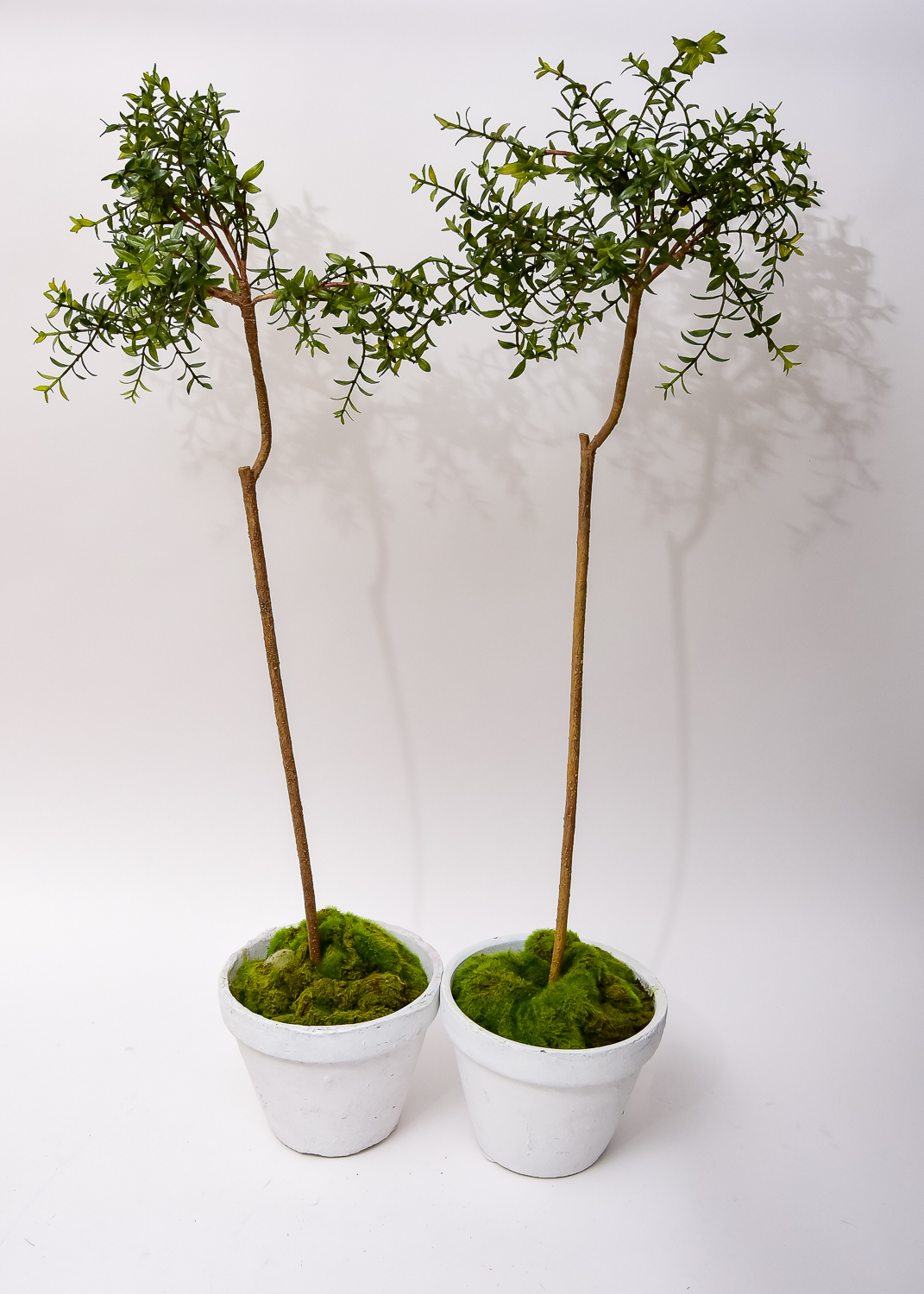 Collection of Decorative Items