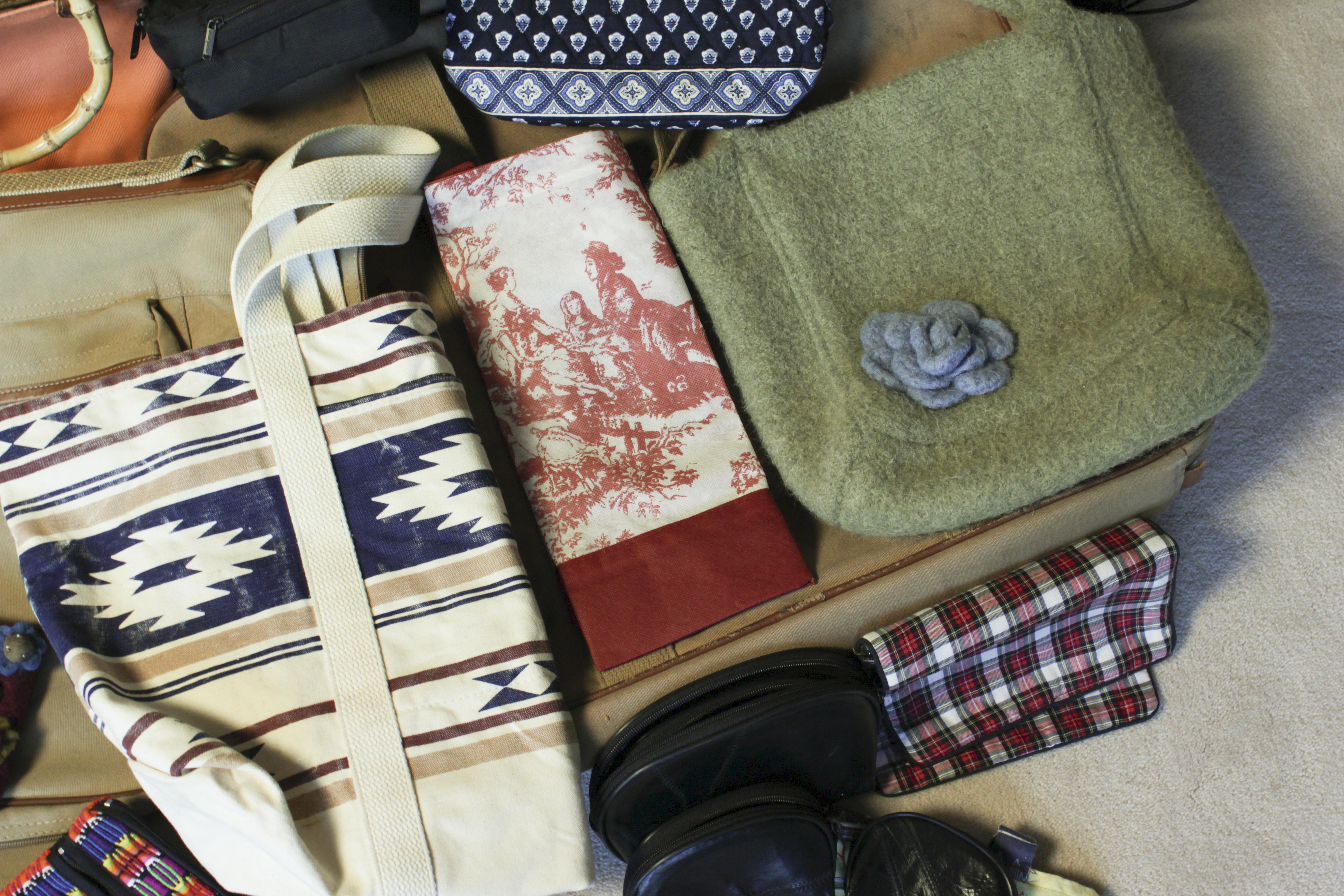 Collection of Travel Bags and Accessories