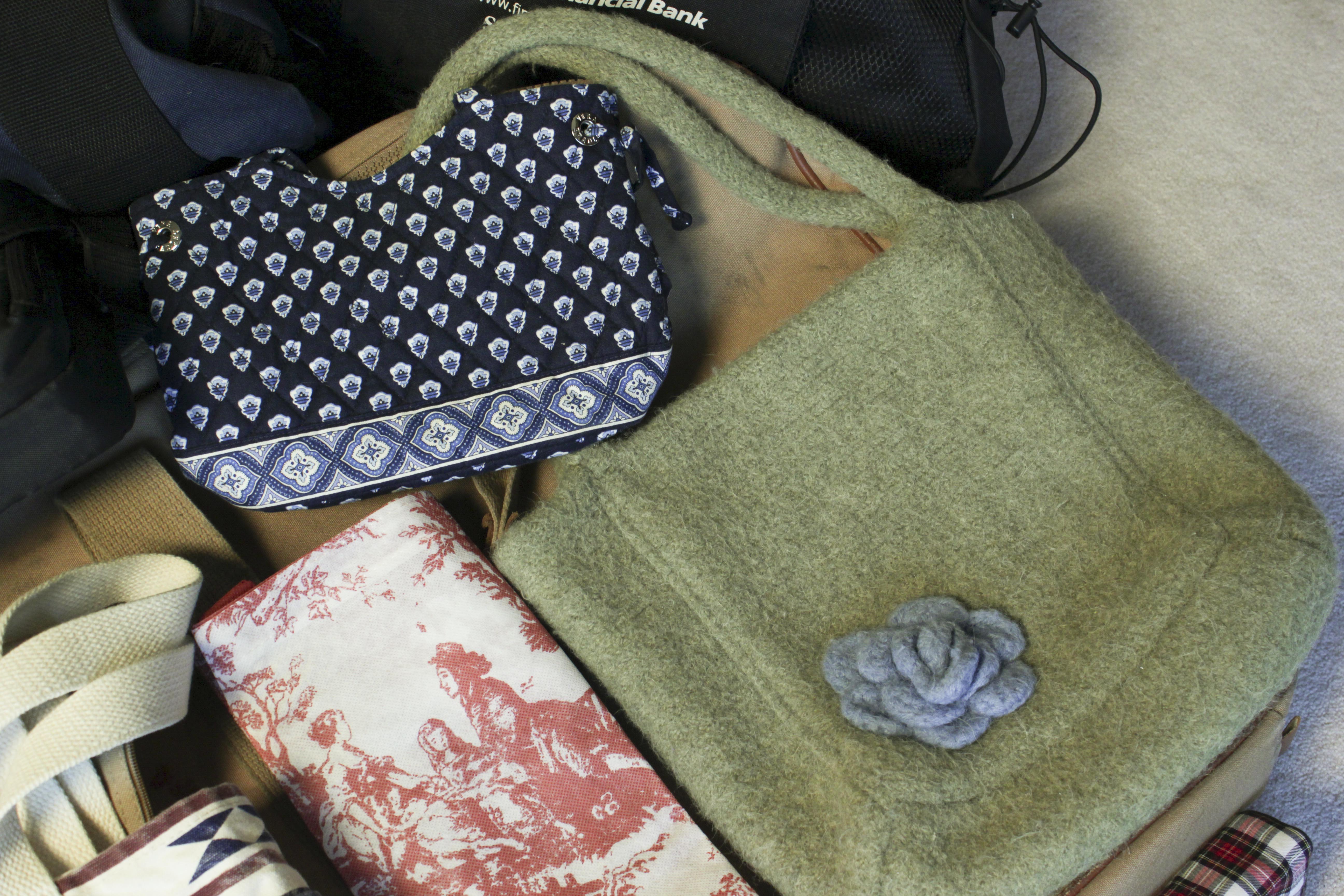 Collection of Travel Bags and Accessories