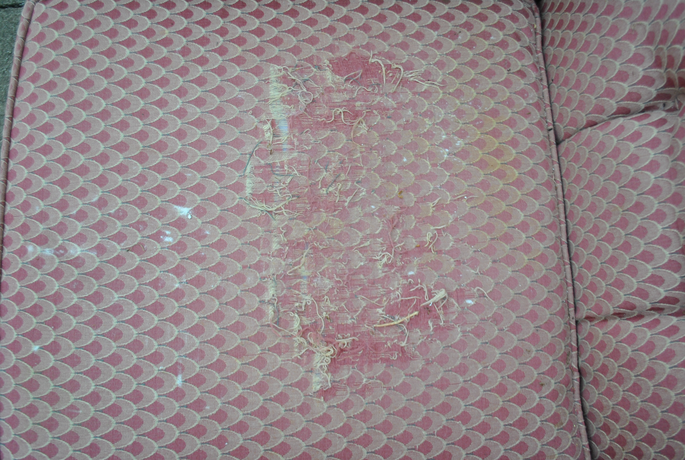 Group of Five Chairs