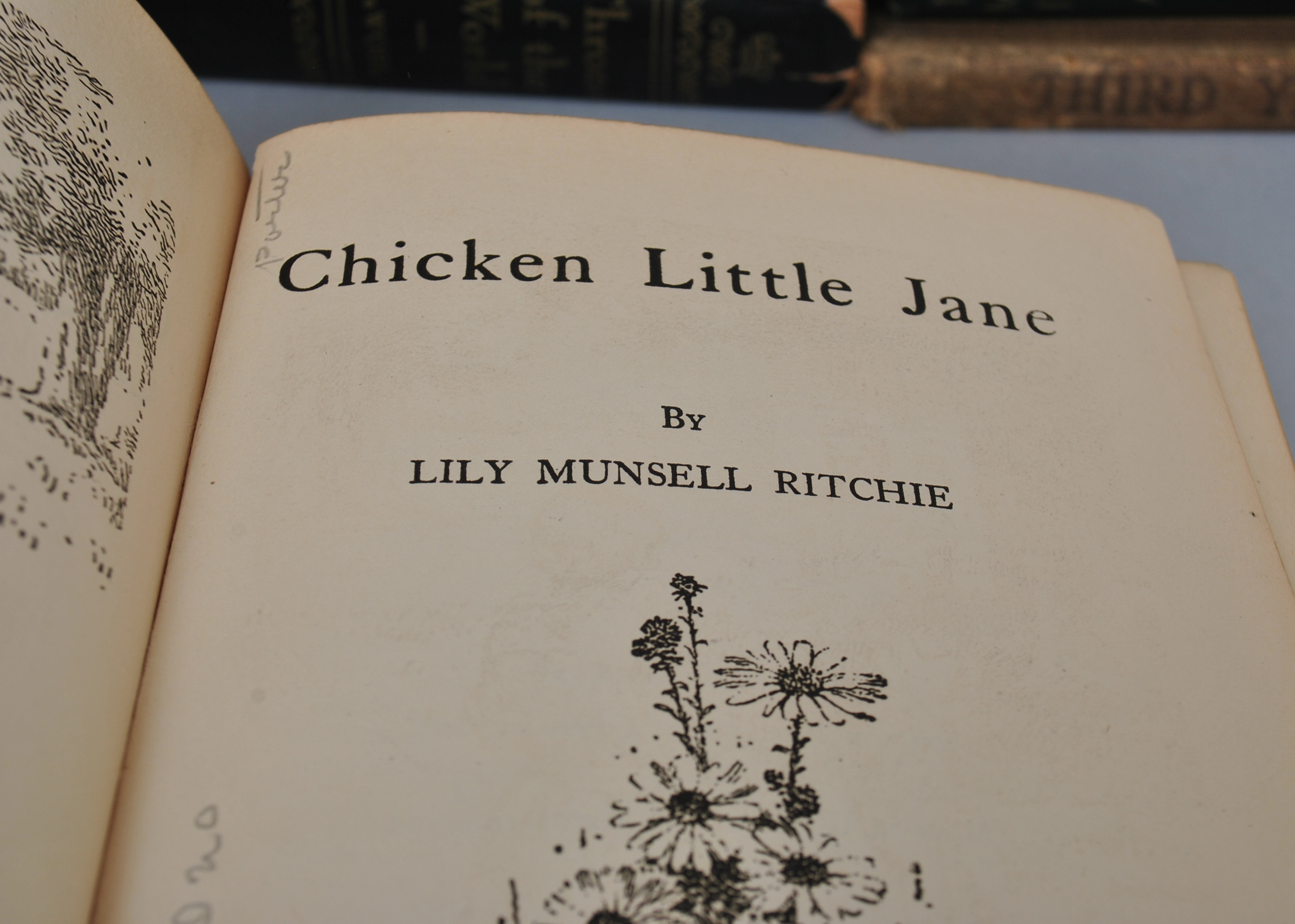 Antique and Vintage Books