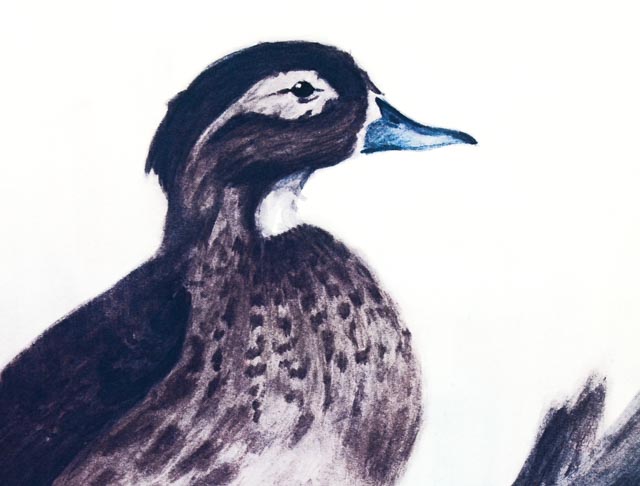 Limited Edition Offset Lithograph of Ray Sexton's "Wood Ducks"