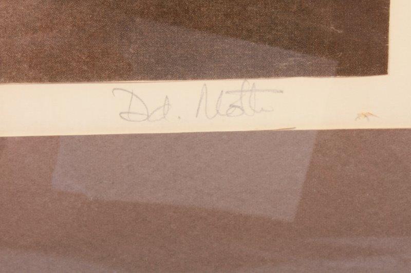 Vintage Condor Collage by Dan Motto