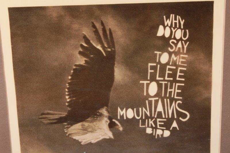 Vintage Condor Collage by Dan Motto