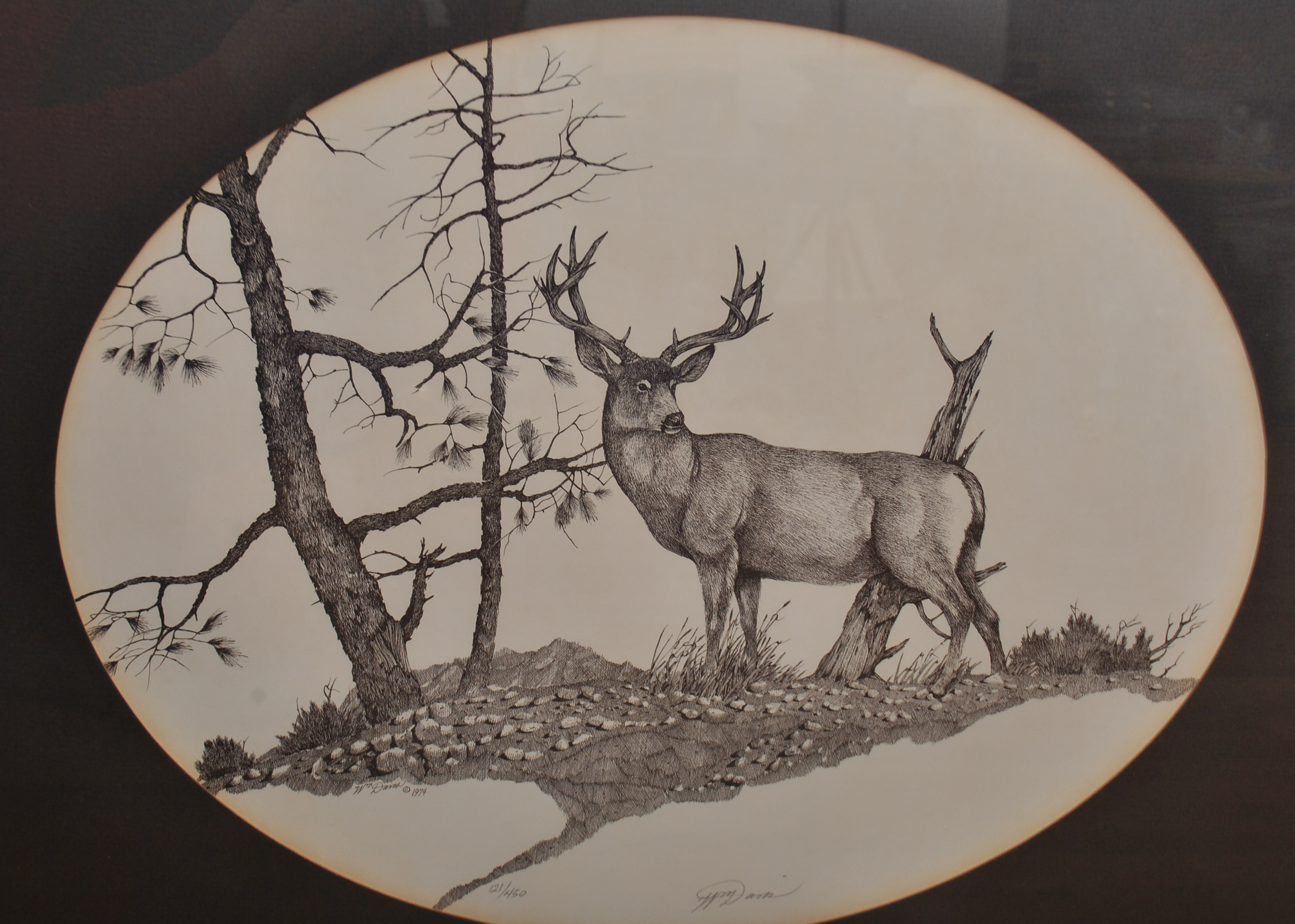 Pair of Deer Lithographs by William Davis