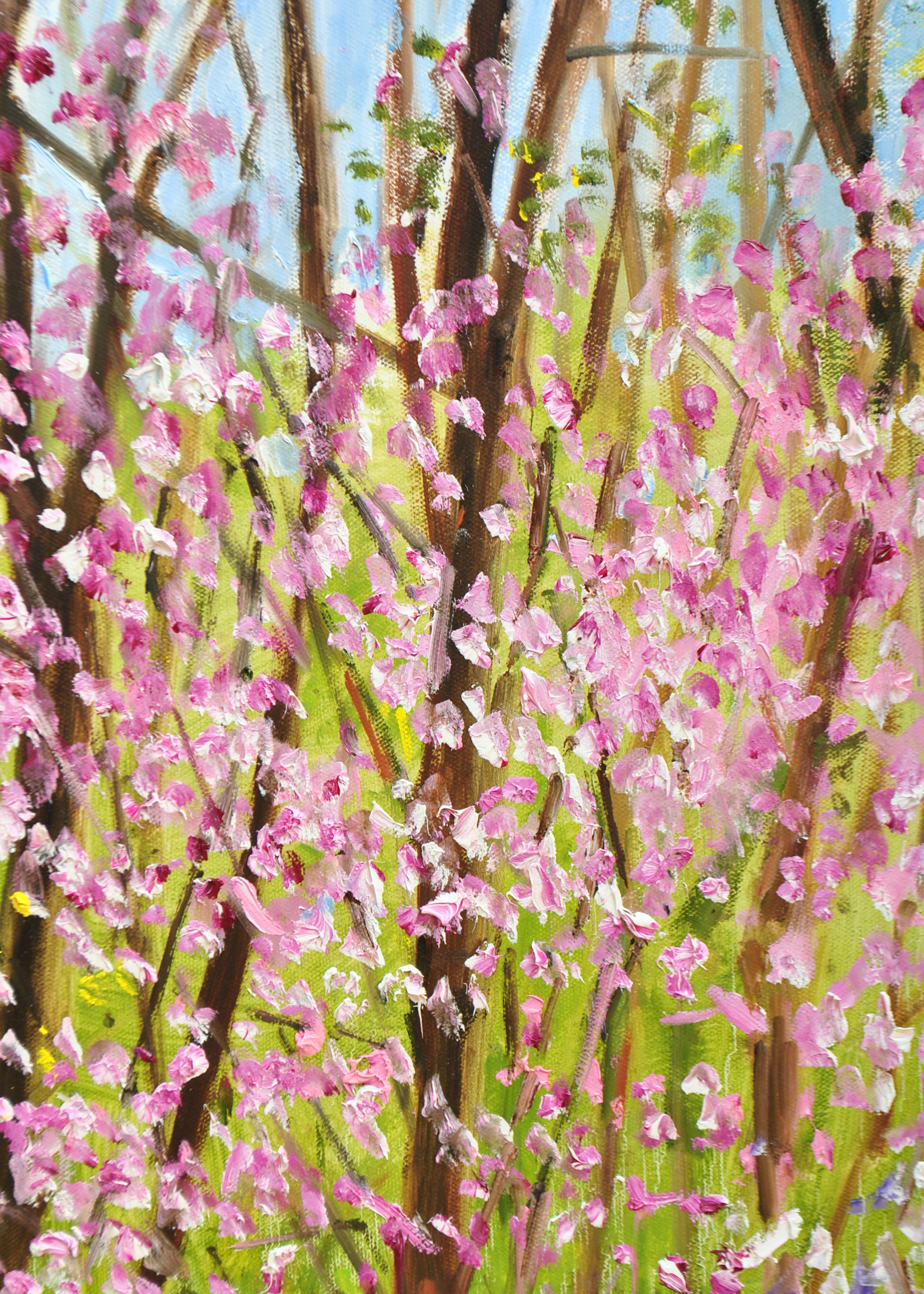 Collection of Kentucky Art and Books