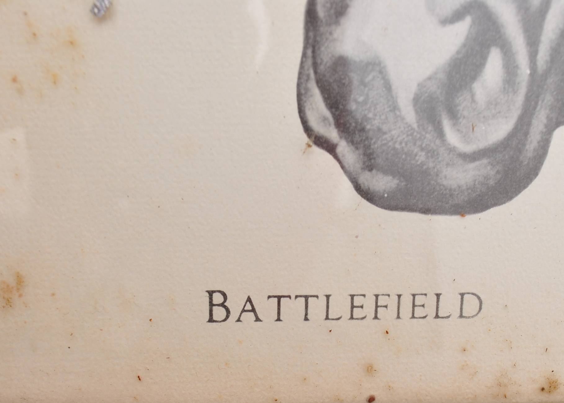 Kentucky Derby Collection