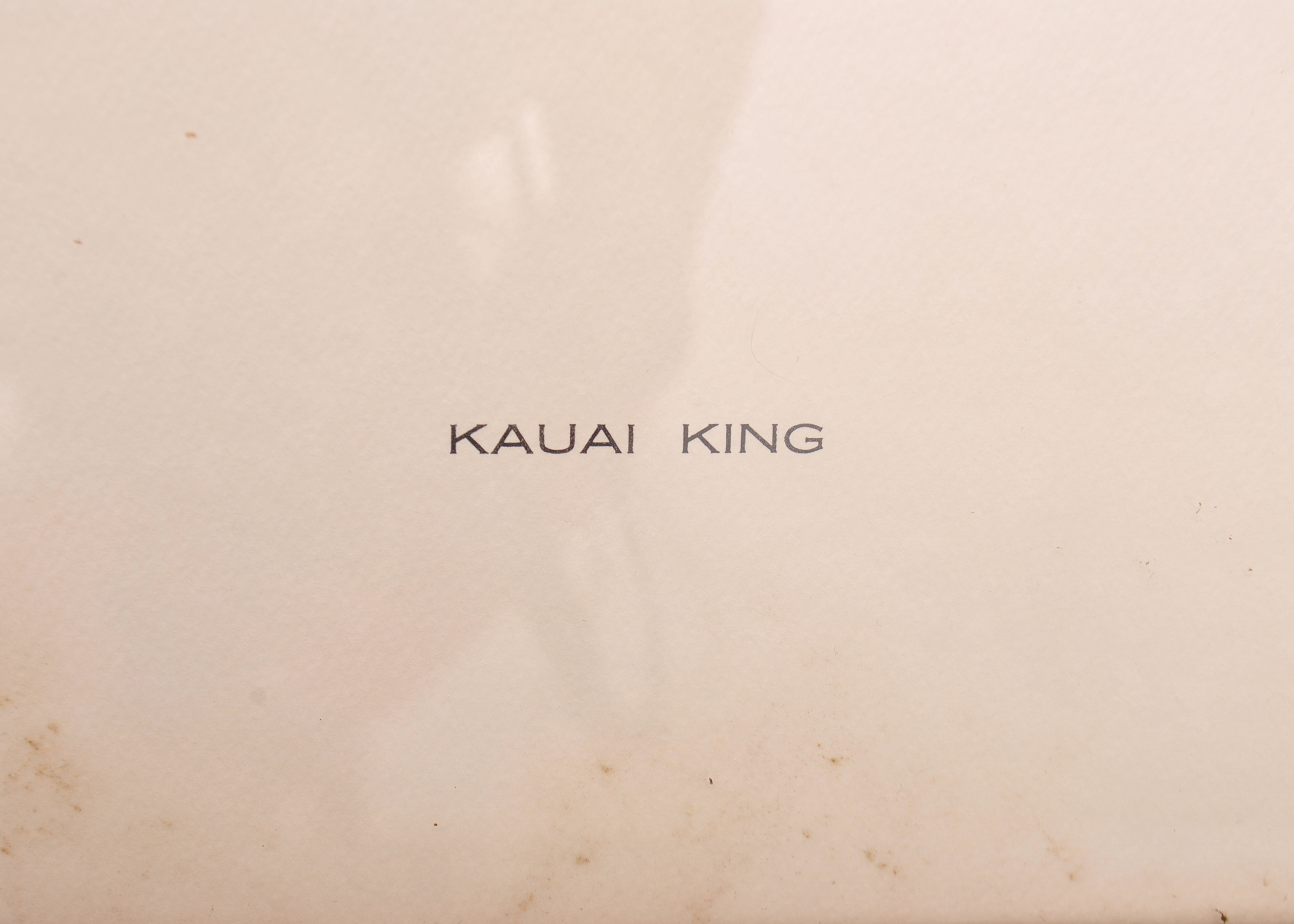 Kentucky Derby Collection