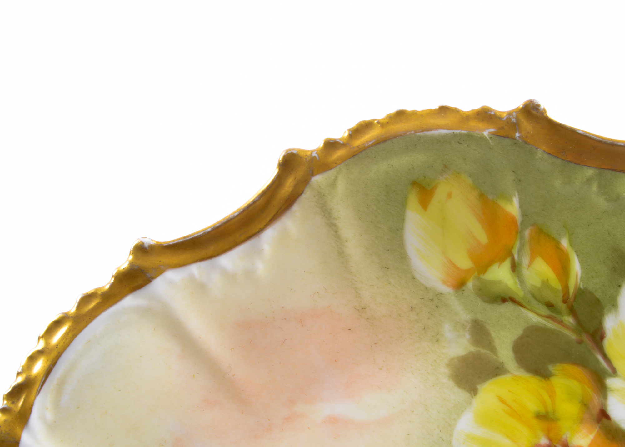 Limoges LS & S Porcelain Gold Gilt Painted Fish Plates