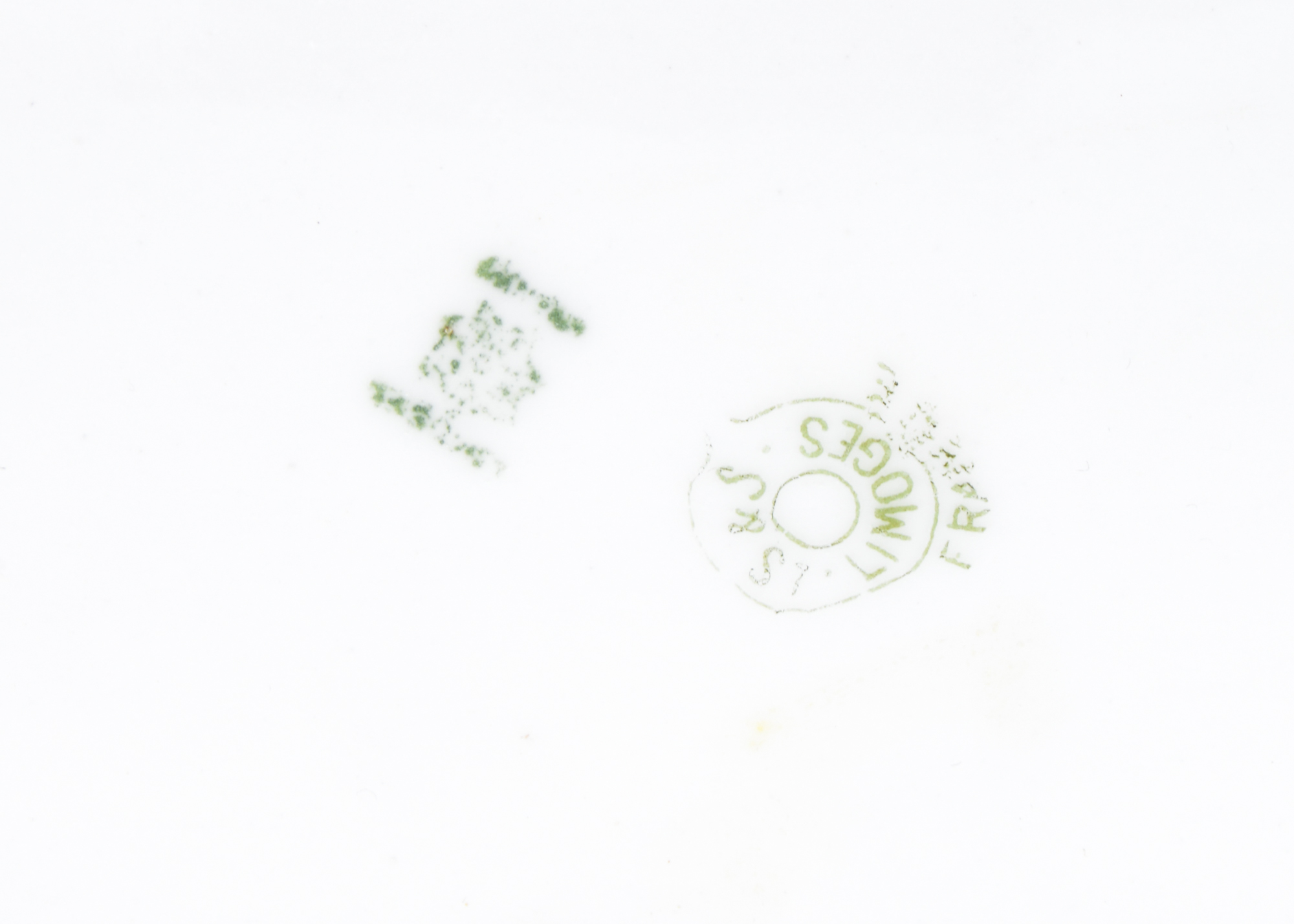 Limoges LS & S Porcelain Full Fish Serving Tray Platter