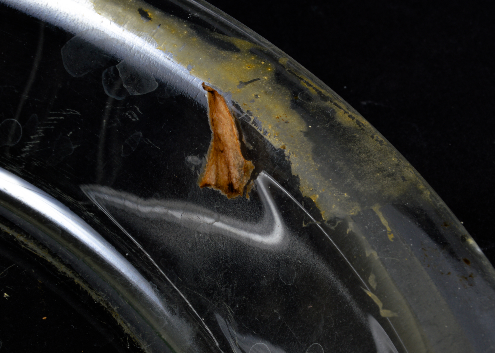 Pyrex and Porcelain Bakeware