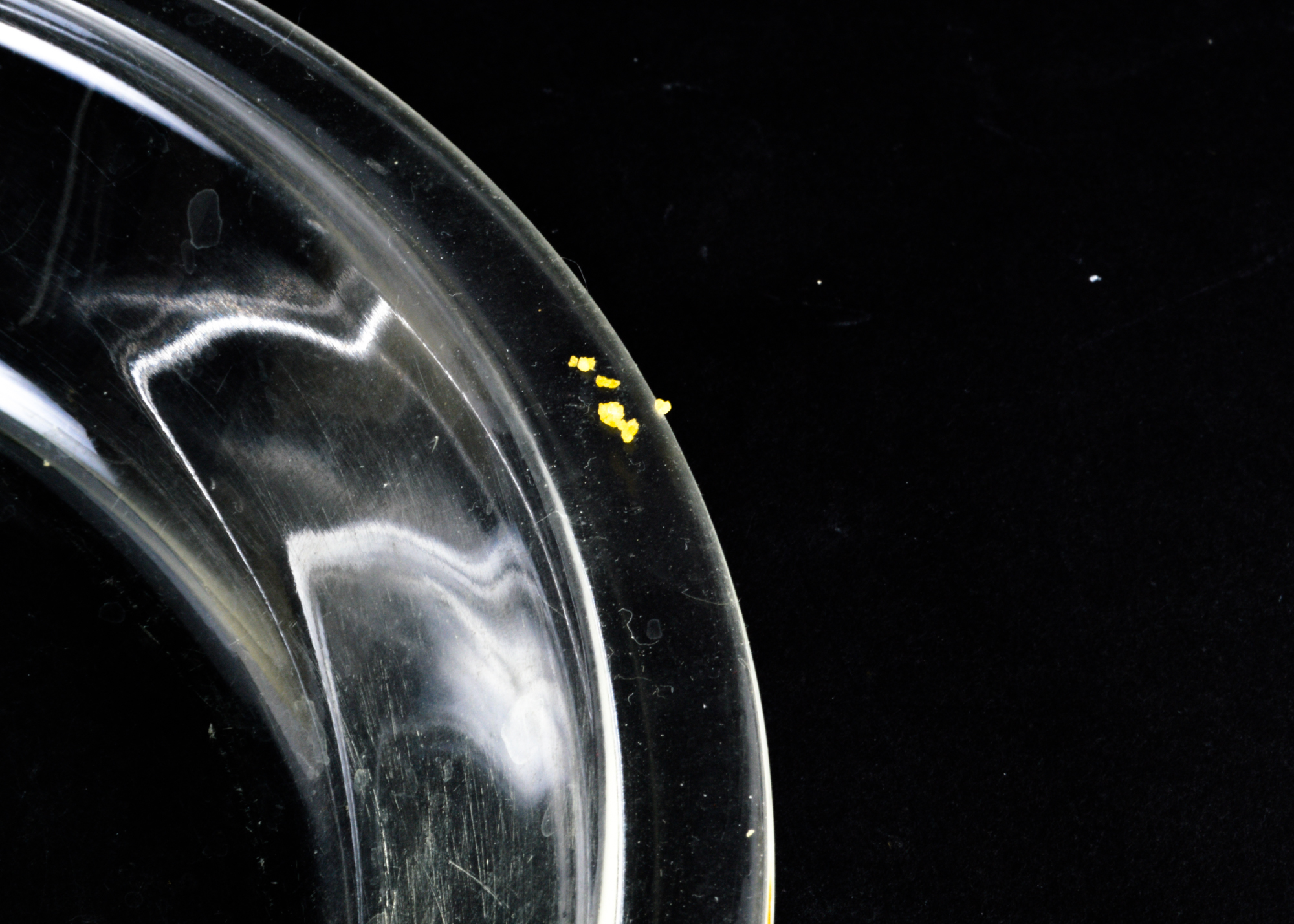 Pyrex and Porcelain Bakeware