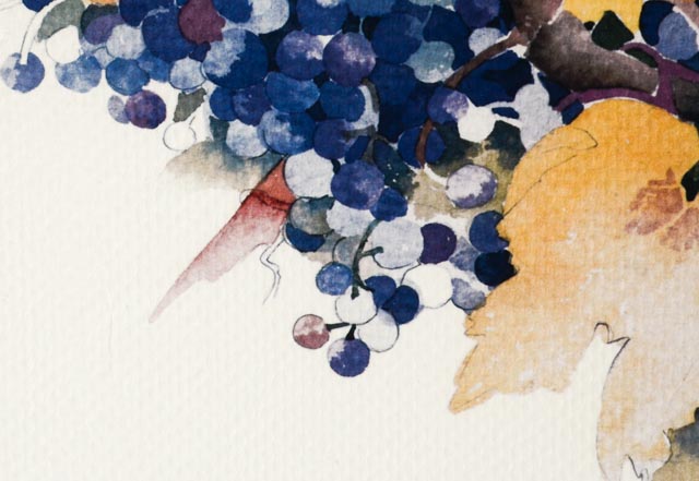 Veronica di Rosa Poster for Napa Valley Wine Auction