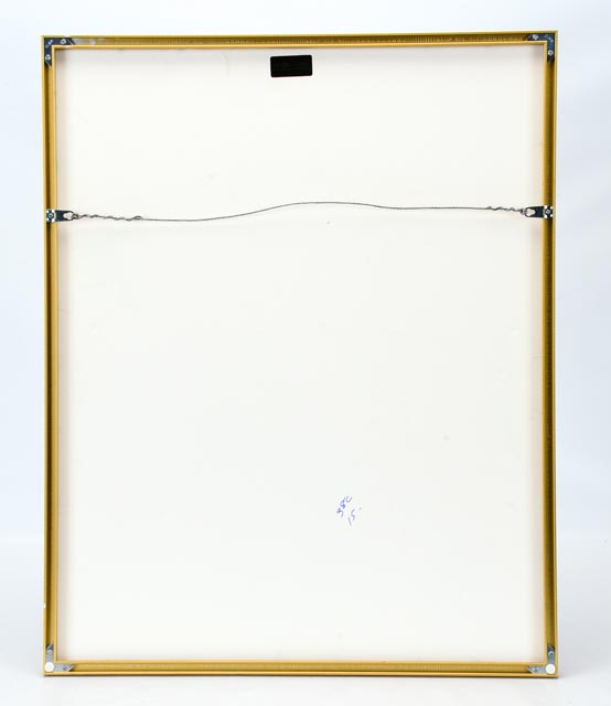 Veronica di Rosa Poster for Napa Valley Wine Auction