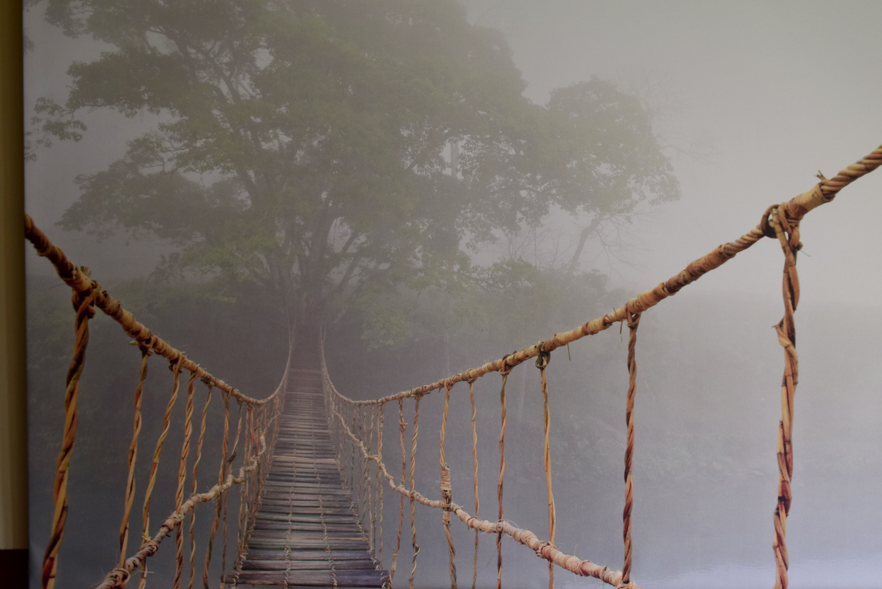 Large Ikea 'Jungle Journey' Wall Canvas