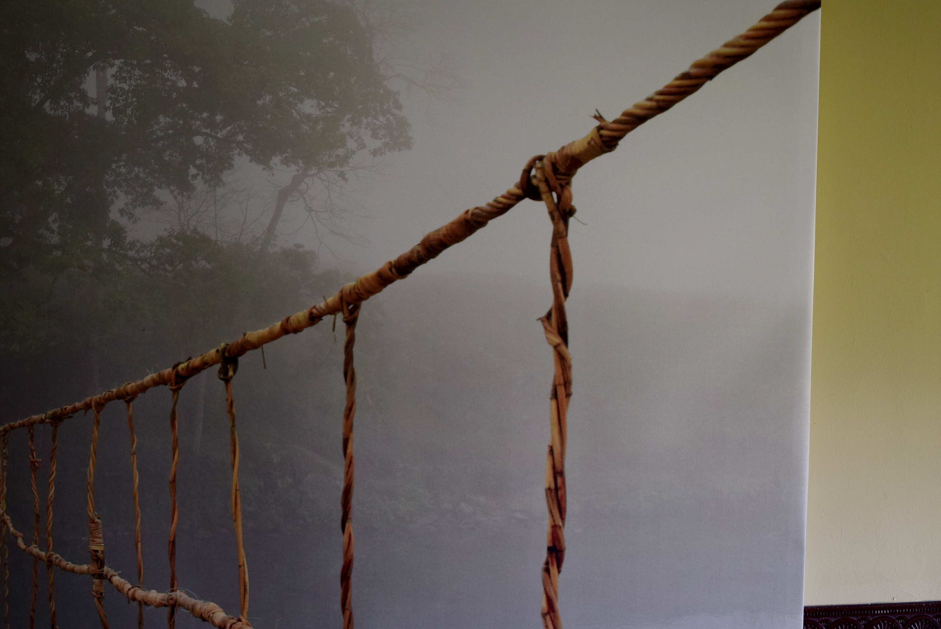 Large Ikea 'Jungle Journey' Wall Canvas