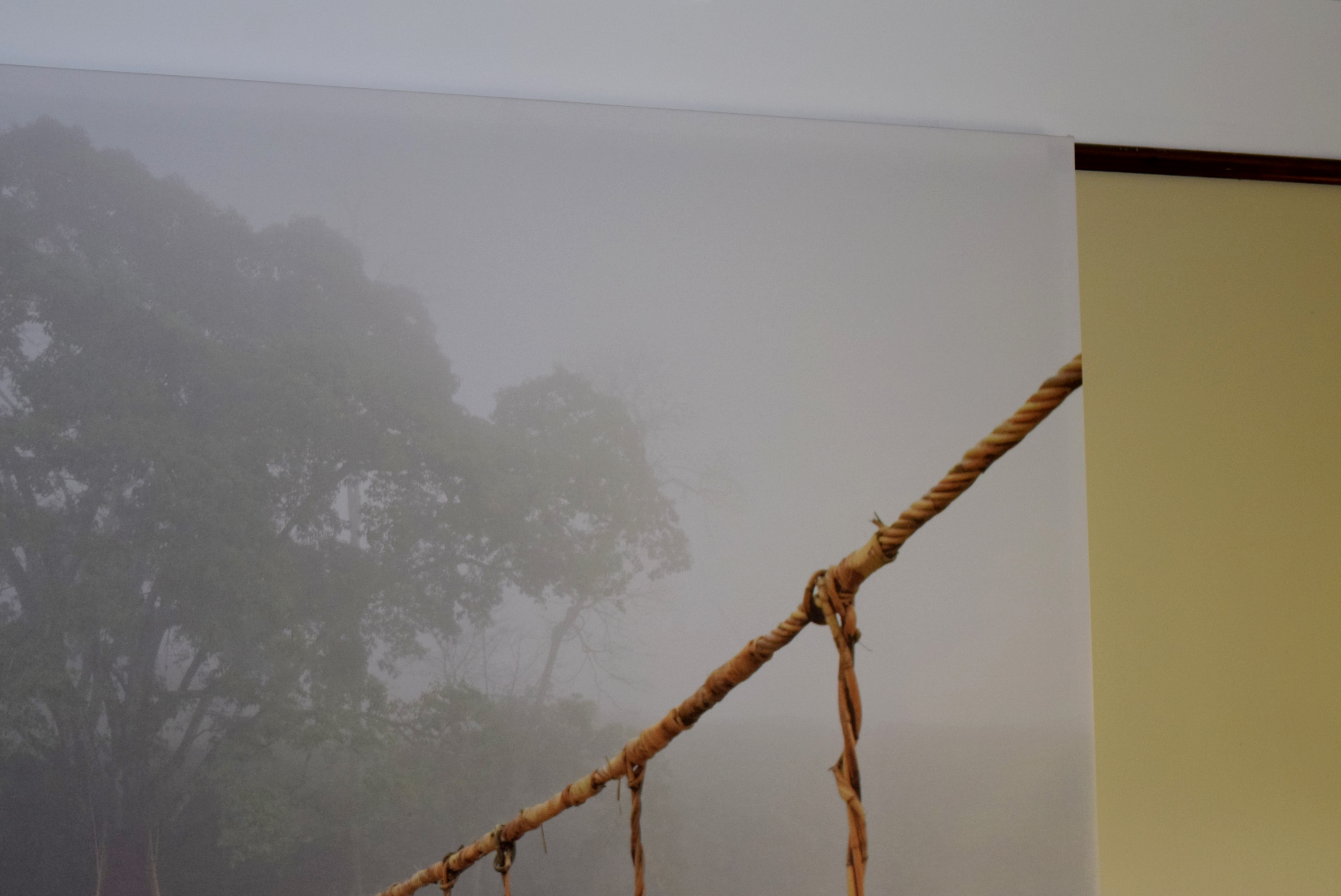 Large Ikea 'Jungle Journey' Wall Canvas