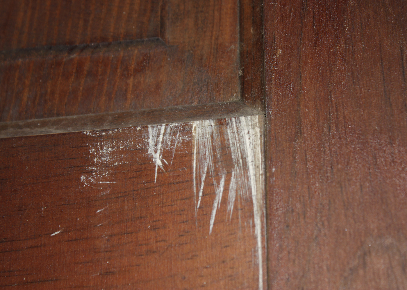 Vintage Salvage Wood Door