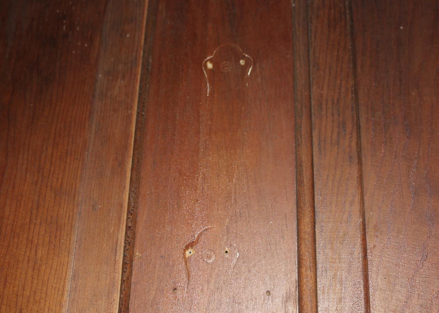 Vintage Salvage Wood Door