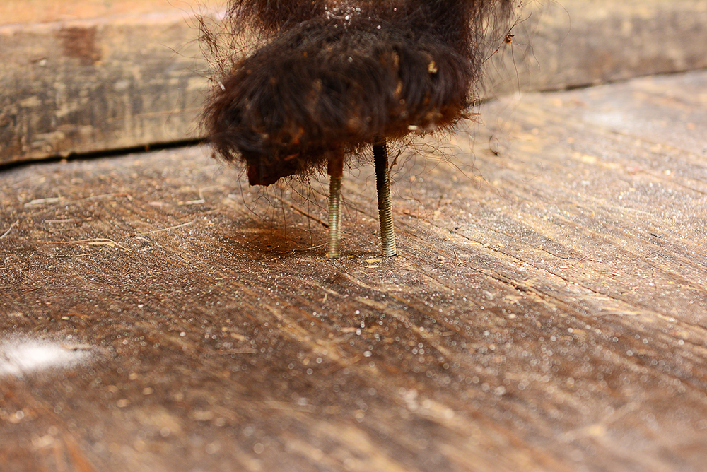 Taxidermy Juvenile Black Bear