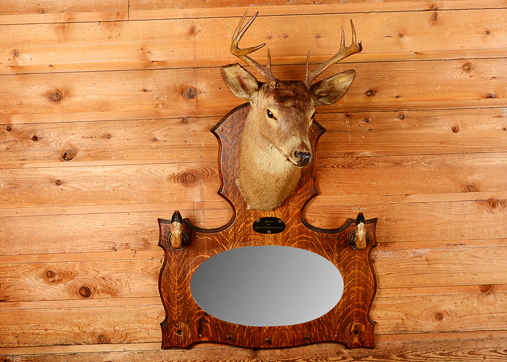 Taxidermy Nine Point Buck with Mirror and Coat Rack