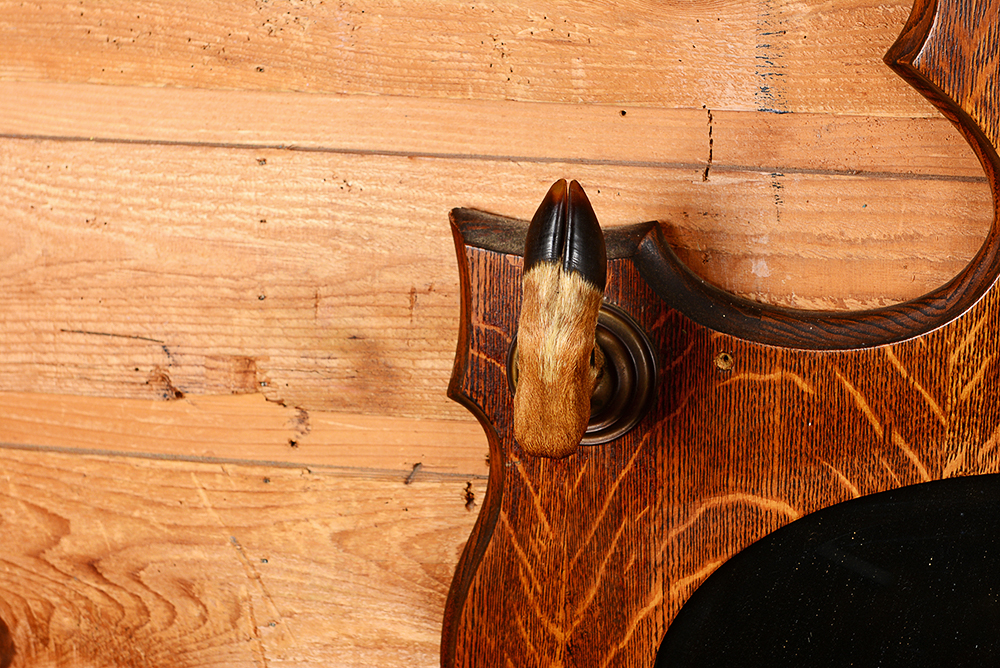 Taxidermy Nine Point Buck with Mirror and Coat Rack