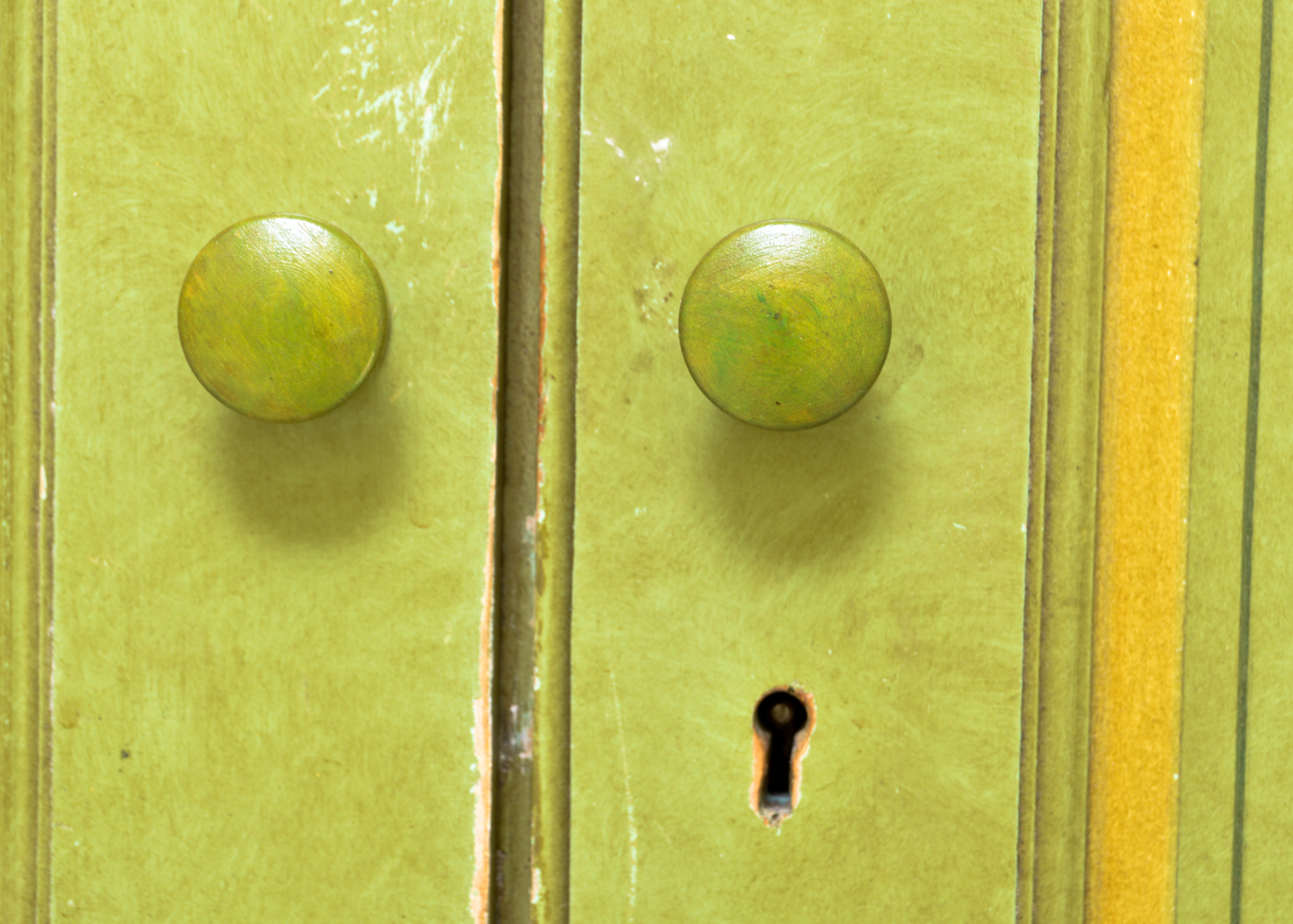 Green Painted Floral Wardrobe