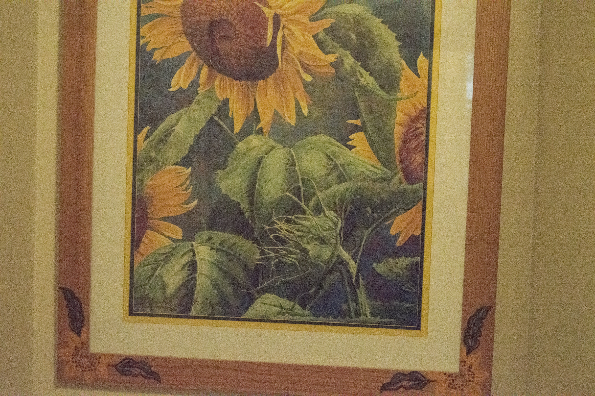 Sunflower Offset Lithograph