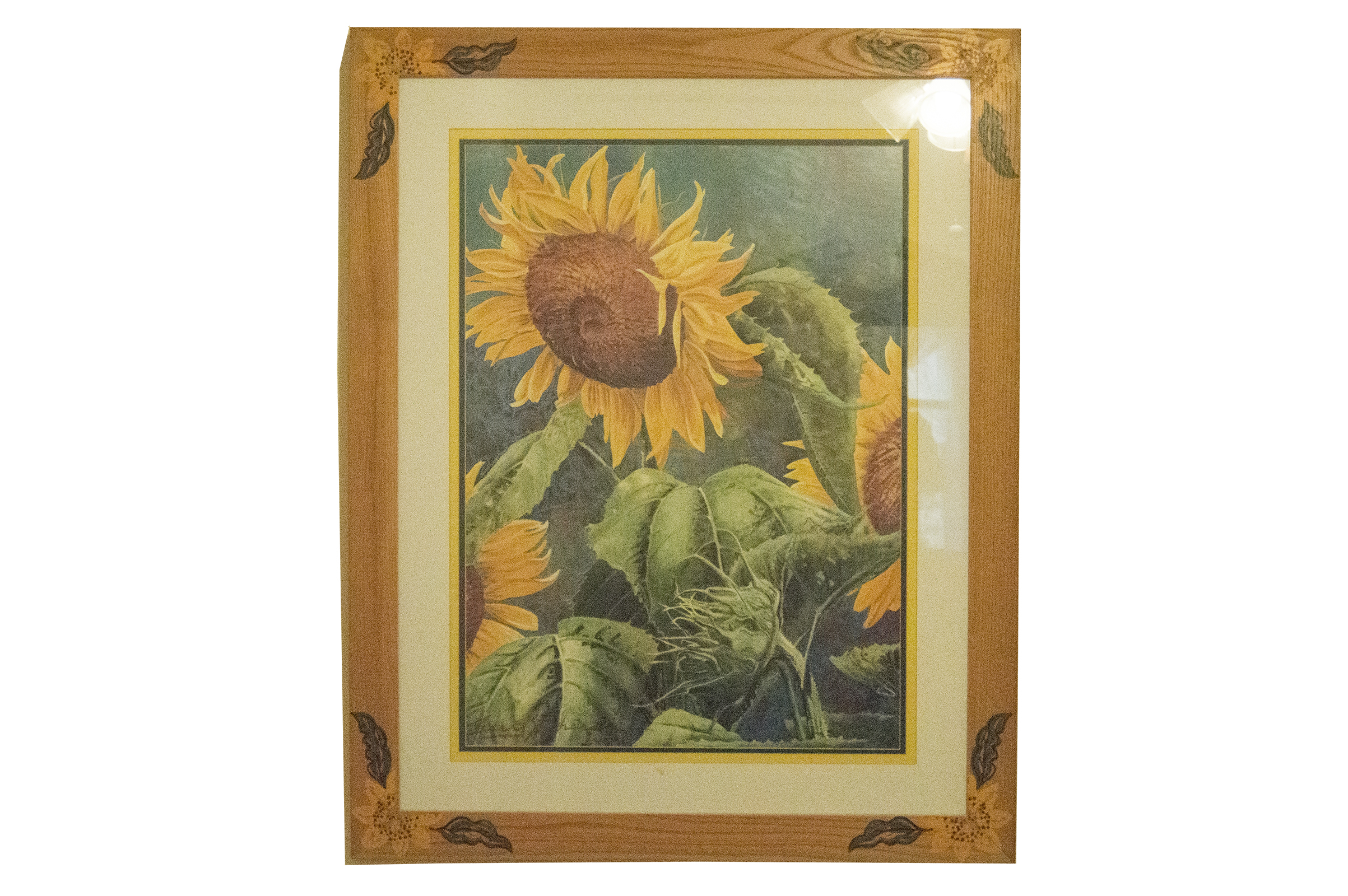 Sunflower Offset Lithograph
