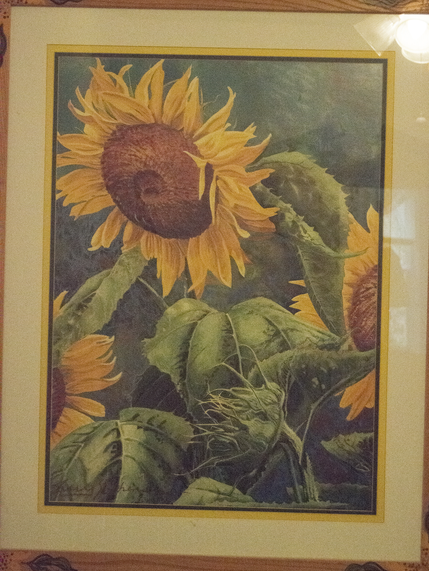 Sunflower Offset Lithograph