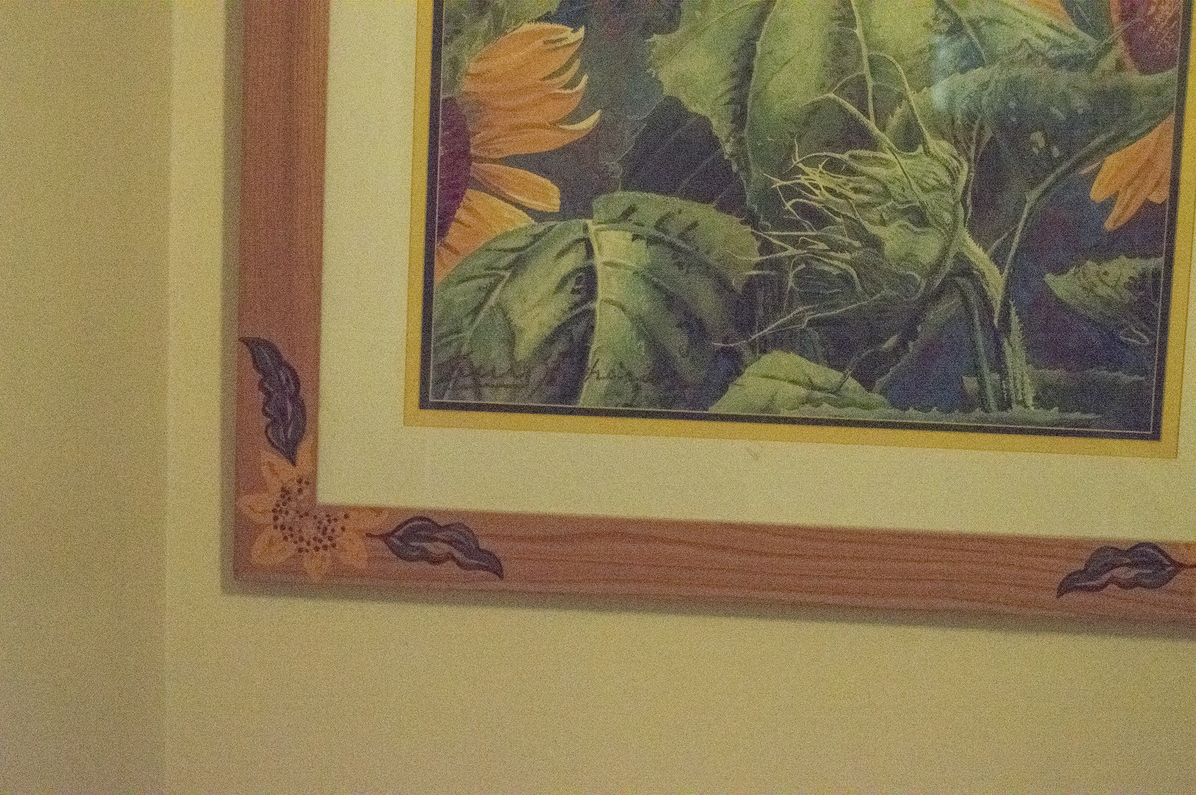 Sunflower Offset Lithograph