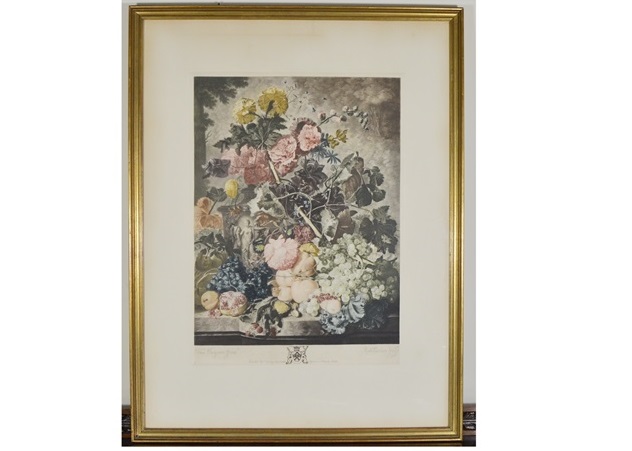 Jan Van Haysum Botanical Engraving