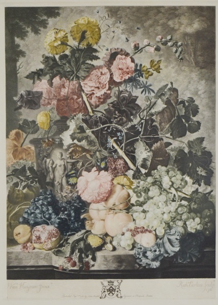 Jan Van Haysum Botanical Engraving