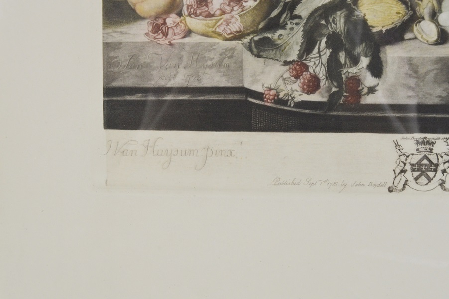 Jan Van Haysum Botanical Engraving