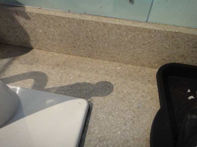 Custom Built Florist Cabinet With Sink