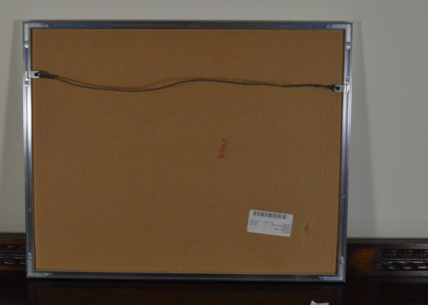 Silver Map of the Globe