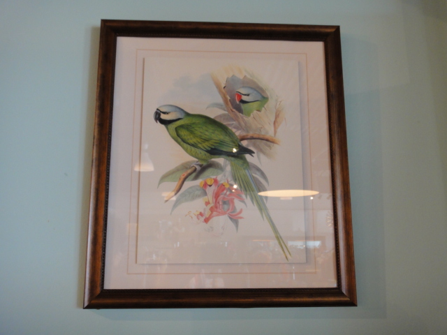 Massive Florist Supply Group