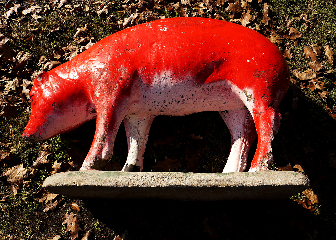 Large Red Concrete Pig