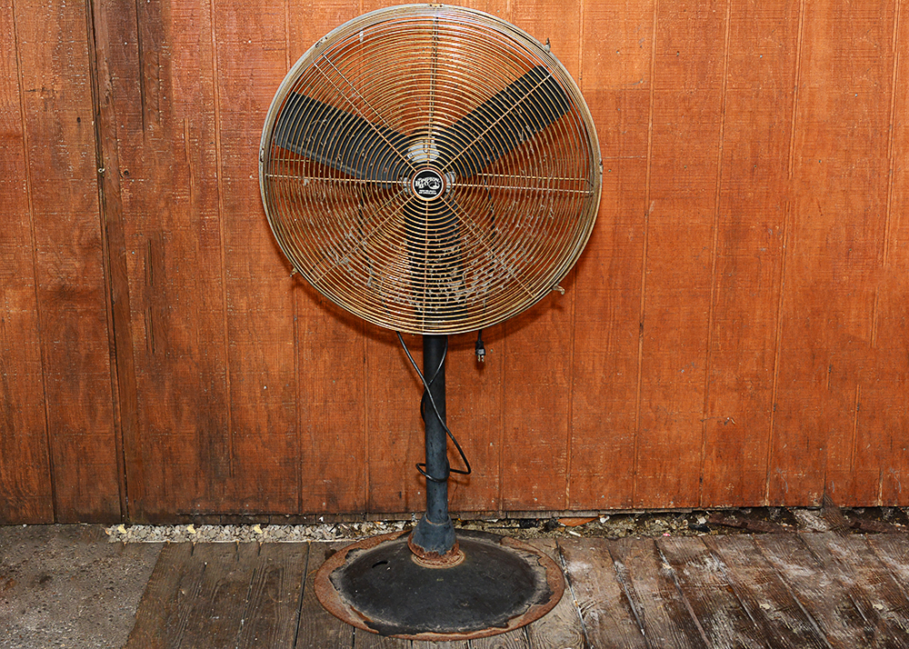 Hampton Bay Large Fan with Stand